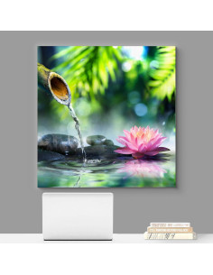 Lienzo Arte Jardín Zen Wall26 60x60 cm Floral Colorido 2