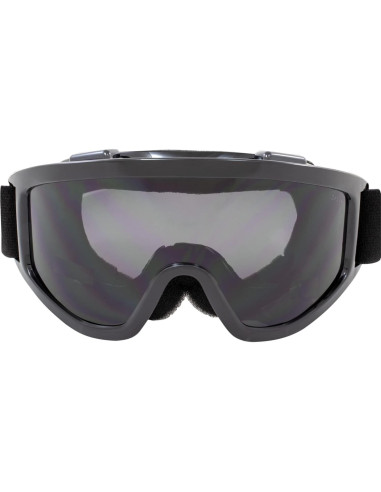 Gafas de motociclismo Birdz Vulture Z87.1+ con lentes espejo