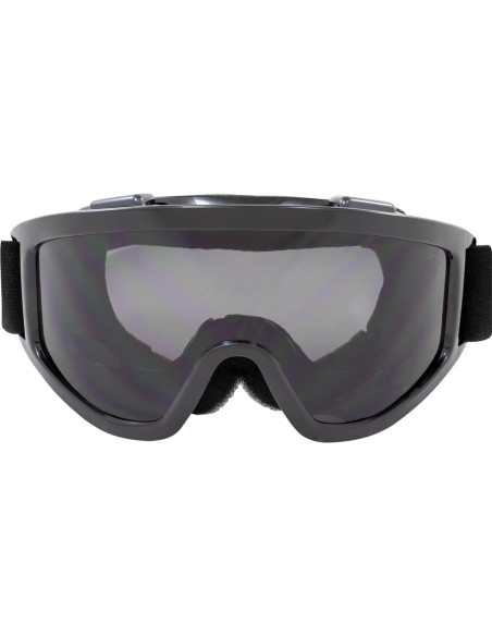 Gafas de motociclismo Birdz Vulture Z87.1+ con lentes espejo