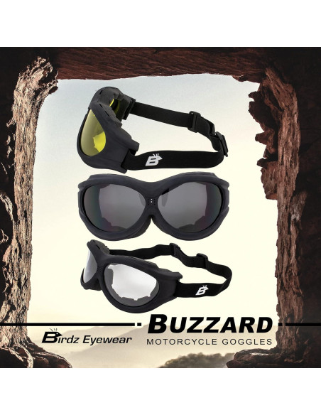 Gafas de Motocicleta Birdz Buzzard con Lentes Transparentes y Ahumados