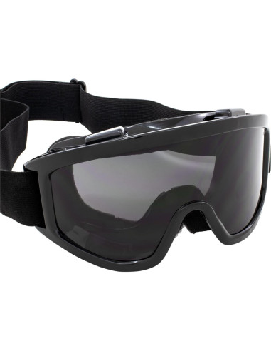 Gafas de motociclismo Birdz Vulture Z87.1+ con lentes espejo