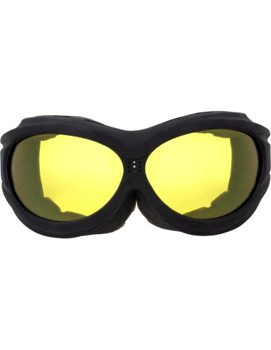 Gafas de Motocicleta Birdz Buzzard con Lentes Transparentes y Ahumados