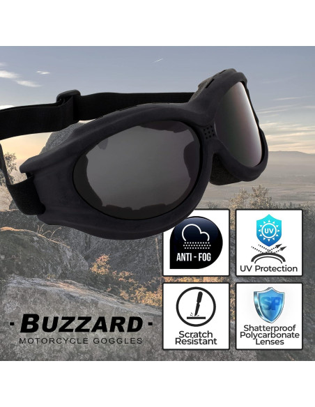 Gafas de Motocicleta Birdz Eyewear Buzzard - 2 Pares Lentes UV400