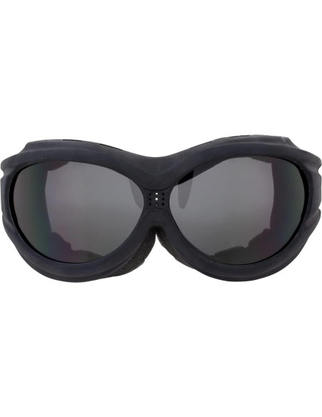 Gafas de Motocicleta Birdz Eyewear Buzzard - 2 Pares Lentes UV400