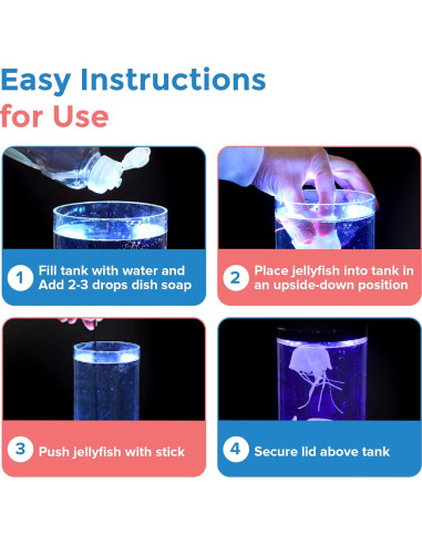 Luz LED Medusa Playlearn 28 cm - Acuario Decorativo USB