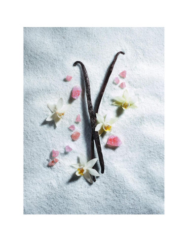 Eau De Parfum Juliette Tiene Un Arma Vainilla Vibraciones 7.39 ml