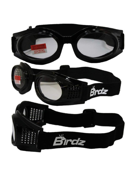 Gafas de Motocicleta Birdz Eyewear Kite Lentes Claros