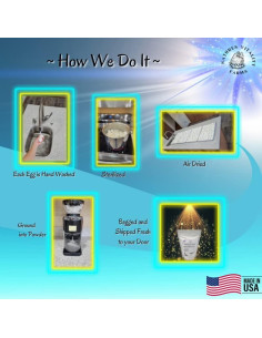 Polvo de Cáscara de Huevo Natures Vitality 290g Suplemento Calcio 2