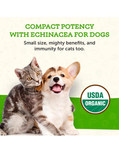 Echinacea Goldenseal Animal Essentials 29.57 ml - Suplemento Inmunológico