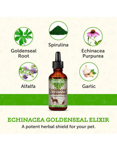 Echinacea Goldenseal Animal Essentials 29.57 ml - Suplemento Inmunológico