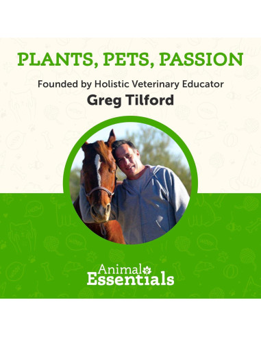 Echinacea Goldenseal Animal Essentials 29.57 ml - Suplemento Inmunológico