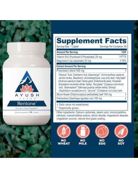 Suplemento Renal Ayush Herbs Rentone - 90 Cápsulas Vegetarianas