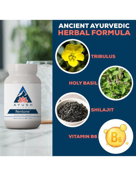 Suplemento Renal Ayush Herbs Rentone - 90 Cápsulas Vegetarianas