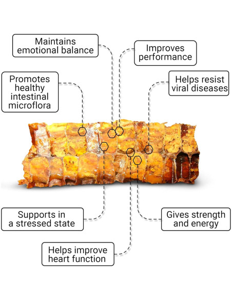 Pan de Abeja Orgánico New Time 125g - Superalimento Natural