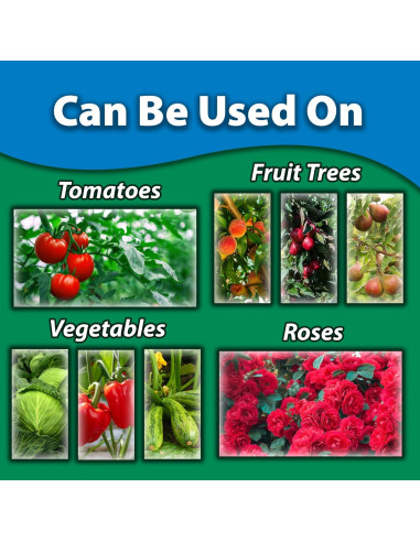 Aceite de Neem Monterey 70% 240ml - Fungicida e Insecticida