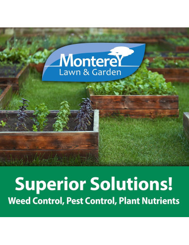 Aceite de Neem Monterey 70% 240ml - Fungicida e Insecticida