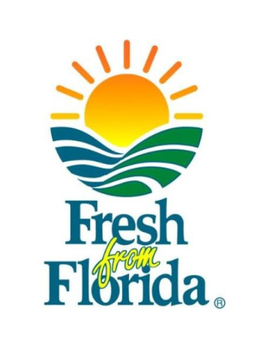 Hojas de Neem Orgánicas Hilltop Fresh - 50 Unidades Certificadas