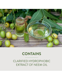 Aceite de Neem Garden Safe 6 x 295 ml - Insecticida Orgánico 2