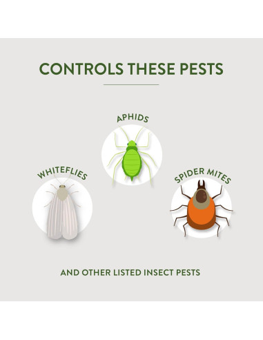 Aceite de Neem Garden Safe 6 x 295 ml - Insecticida Orgánico