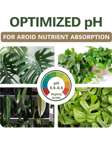 Mezcla de Suelo AROID Premium 2QT - Top-Tier Genetics - Orgánico