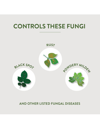 Aceite de Neem Garden Safe 6 x 295 ml - Insecticida Orgánico