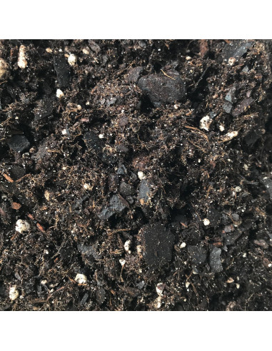 Mezcla de Suelo Premium para Philodendron - 0.45 kg - Wekiva Foliage