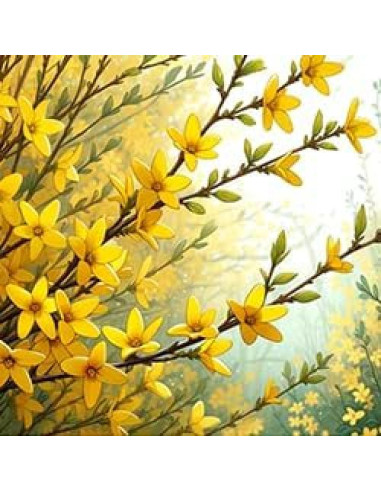 Extracto Líquido de Forsythia Orgánica 60 ml - Hawaii Pharm