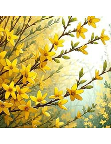 Extracto Líquido de Forsythia Orgánica 60 ml - Hawaii Pharm