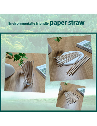 300 Pajitas Desechables de Papel WEEBLUEWO 20 cm Biodegradables