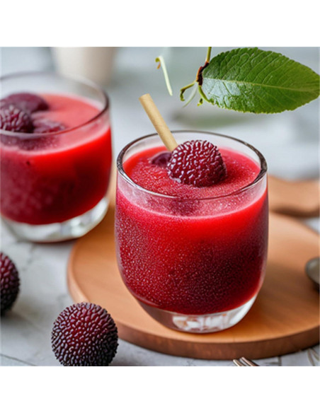 300 Pajitas Desechables de Papel WEEBLUEWO 20 cm Biodegradables