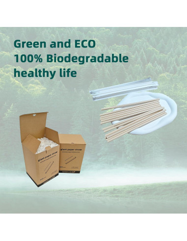 300 Pajitas Desechables de Papel WEEBLUEWO 20 cm Biodegradables