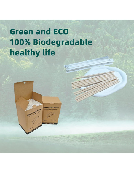 300 Pajitas Desechables de Papel WEEBLUEWO 20 cm Biodegradables