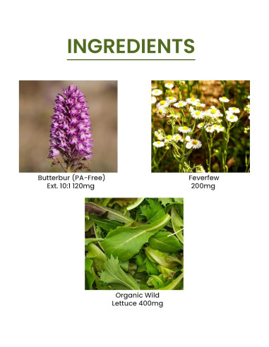 Cápsulas de Perejil de Campo y Tanaceto Green Organic 90 VCaps