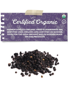Bayas de Saúco Secas Orgánicas Fermentaholics 0.45 KG 2
