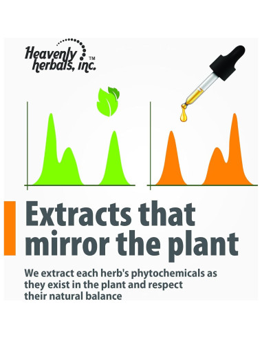 Tintura Madre Berberis Aquifolium Q 60 mL - Homeopático Piel Saludable