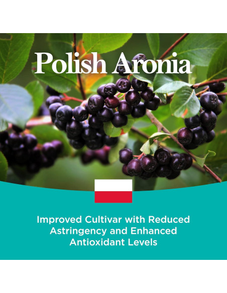 Concentrado de Jugo de Aronia JustNature 580 ml (2 Pack) - 100% Natural