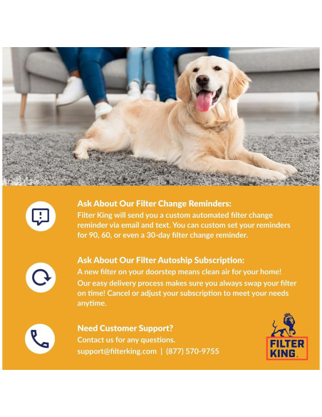 Filtros de Aire Filter King MERV 13 19.75x21x1 | 4-Pack