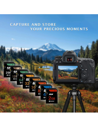 Tarjeta de Memoria SDXC 128GB Synergy Digital UHS-I Clase 10