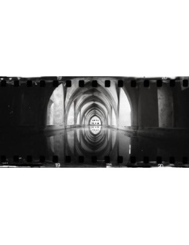 Cámara Analógica Lomografía Sprocket Rocket 35mm