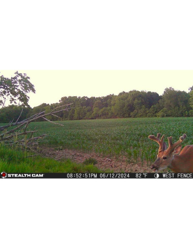 Cámara de Caza Stealth Cam Revolver 36MP HD 1080P GPS