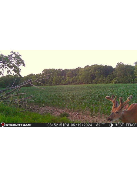 Cámara de Caza Stealth Cam Revolver 36MP HD 1080P GPS