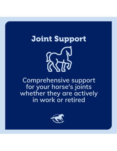 Suplemento Articular Uckele Garra del Diablo Plus 0.91 kg