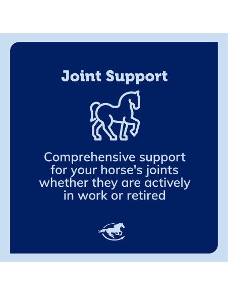 Suplemento Articular Uckele Garra del Diablo Plus 0.91 kg