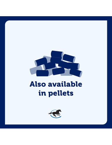 Suplemento Articular Uckele Garra del Diablo Plus 0.91 kg