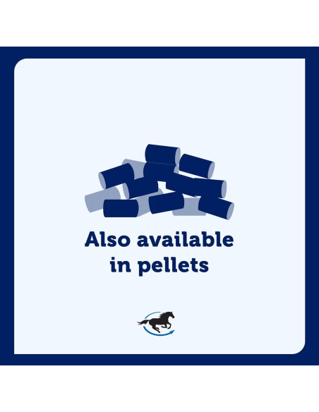 Suplemento Articular Uckele Garra del Diablo Plus 0.91 kg