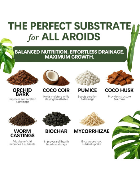 Mezcla de Suelo AROID Premium 2QT - Top-Tier Genetics - Orgánico