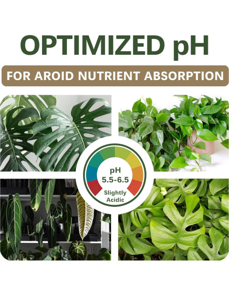 Mezcla de Suelo AROID Premium 2QT - Top-Tier Genetics - Orgánico