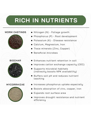 Mezcla de Suelo AROID Premium 2QT - Top-Tier Genetics - Orgánico