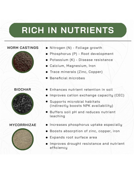 Mezcla de Suelo AROID Premium 2QT - Top-Tier Genetics - Orgánico