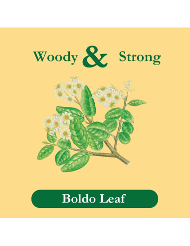 Té Herbal Boldo Tadin, Sin Cafeína, 144 Cuentos